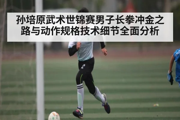 孙培原武术世锦赛男子长拳冲金之路与动作规格技术细节全面分析