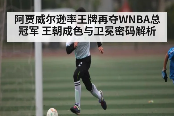 阿贾威尔逊率王牌再夺WNBA总冠军 王朝成色与卫冕密码解析